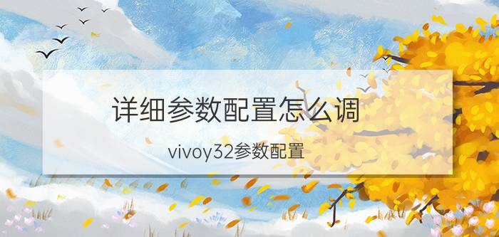 详细参数配置怎么调 vivoy32参数配置